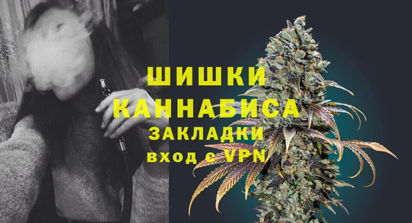 сатива Армянск