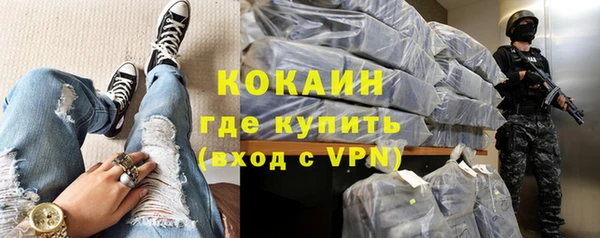 сатива Армянск